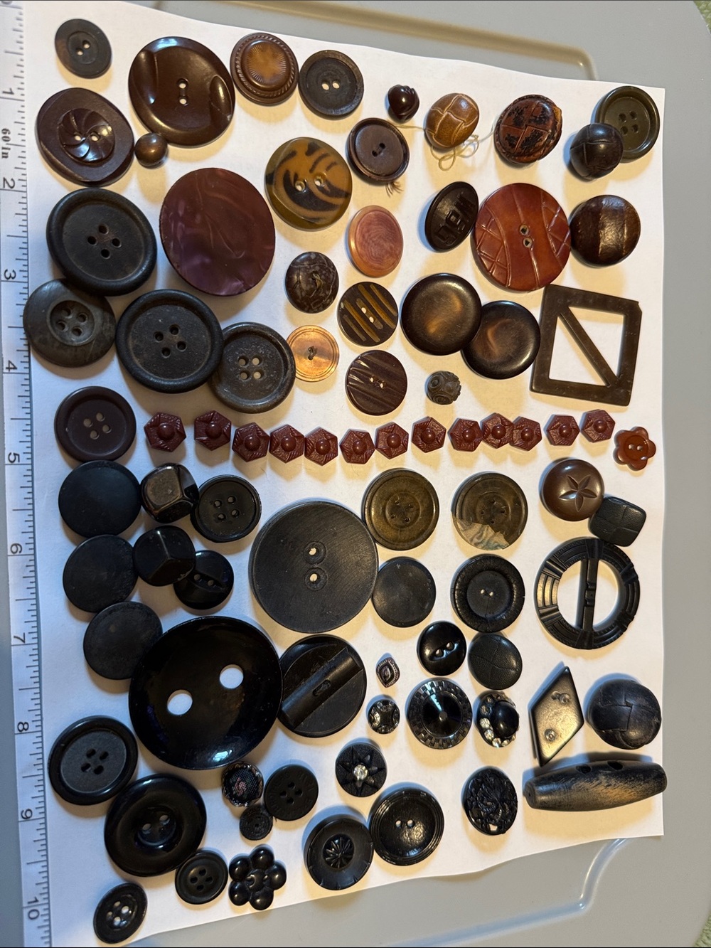 Assorted Black & Brown Button Set - Multipack Accessories